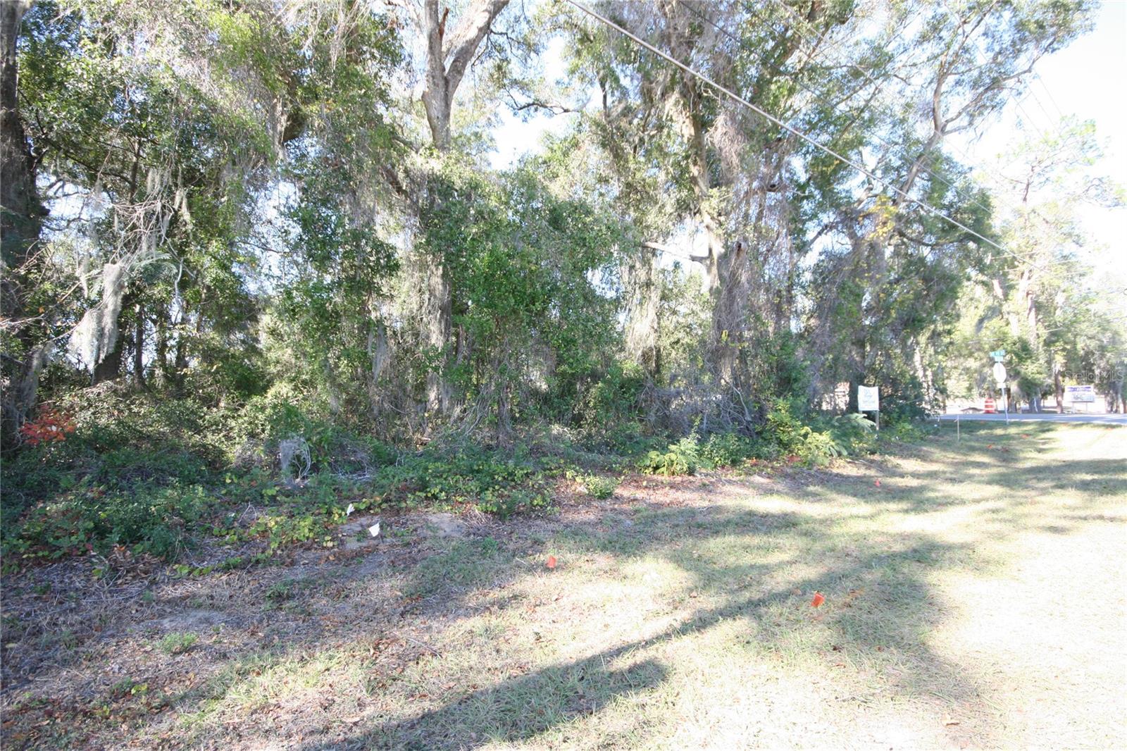 NE 36 AVE TBD, OCALA, FL — photo 6