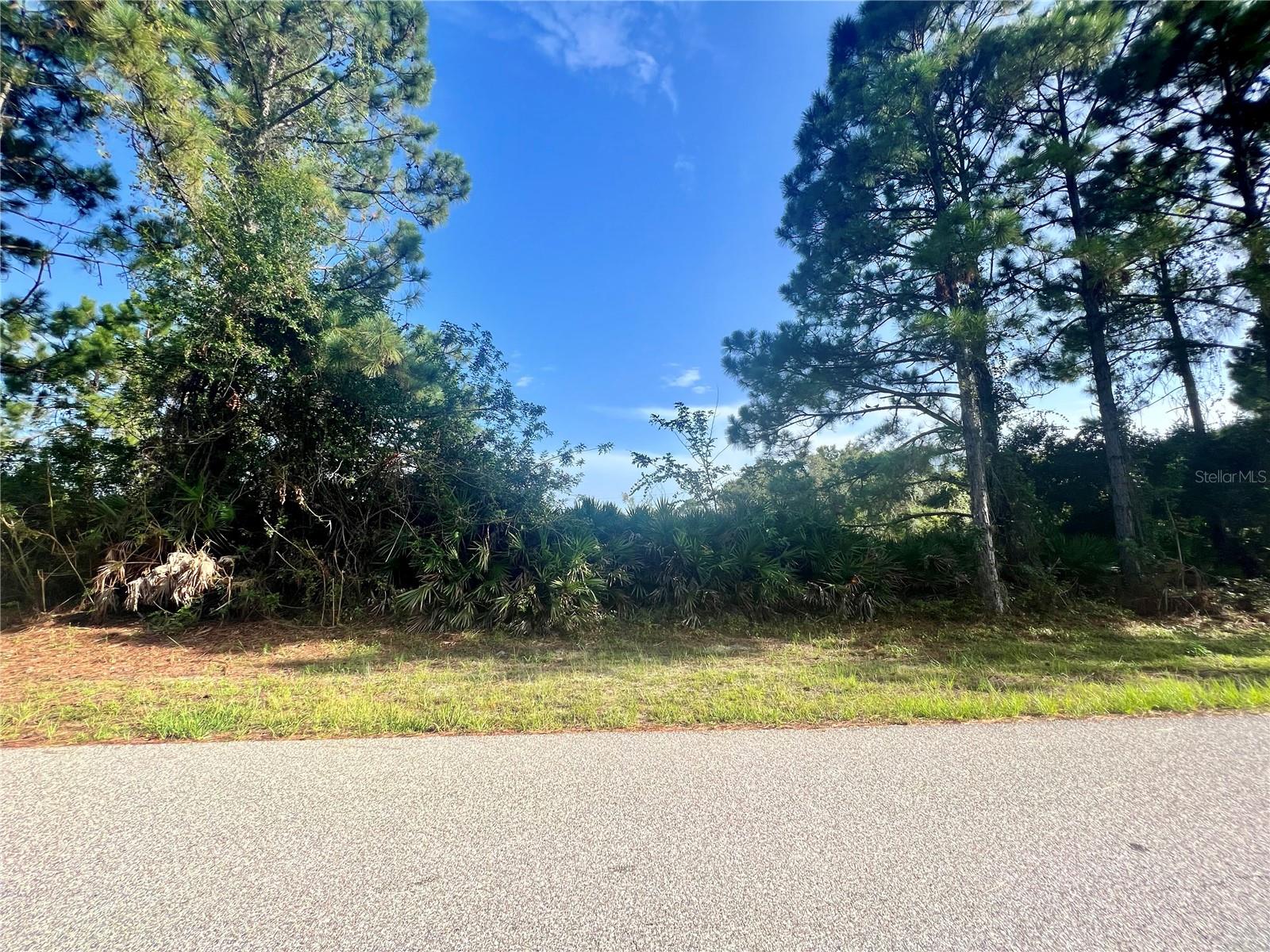 12415 DEEPWOODS AVE, PORT CHARLOTTE, FL