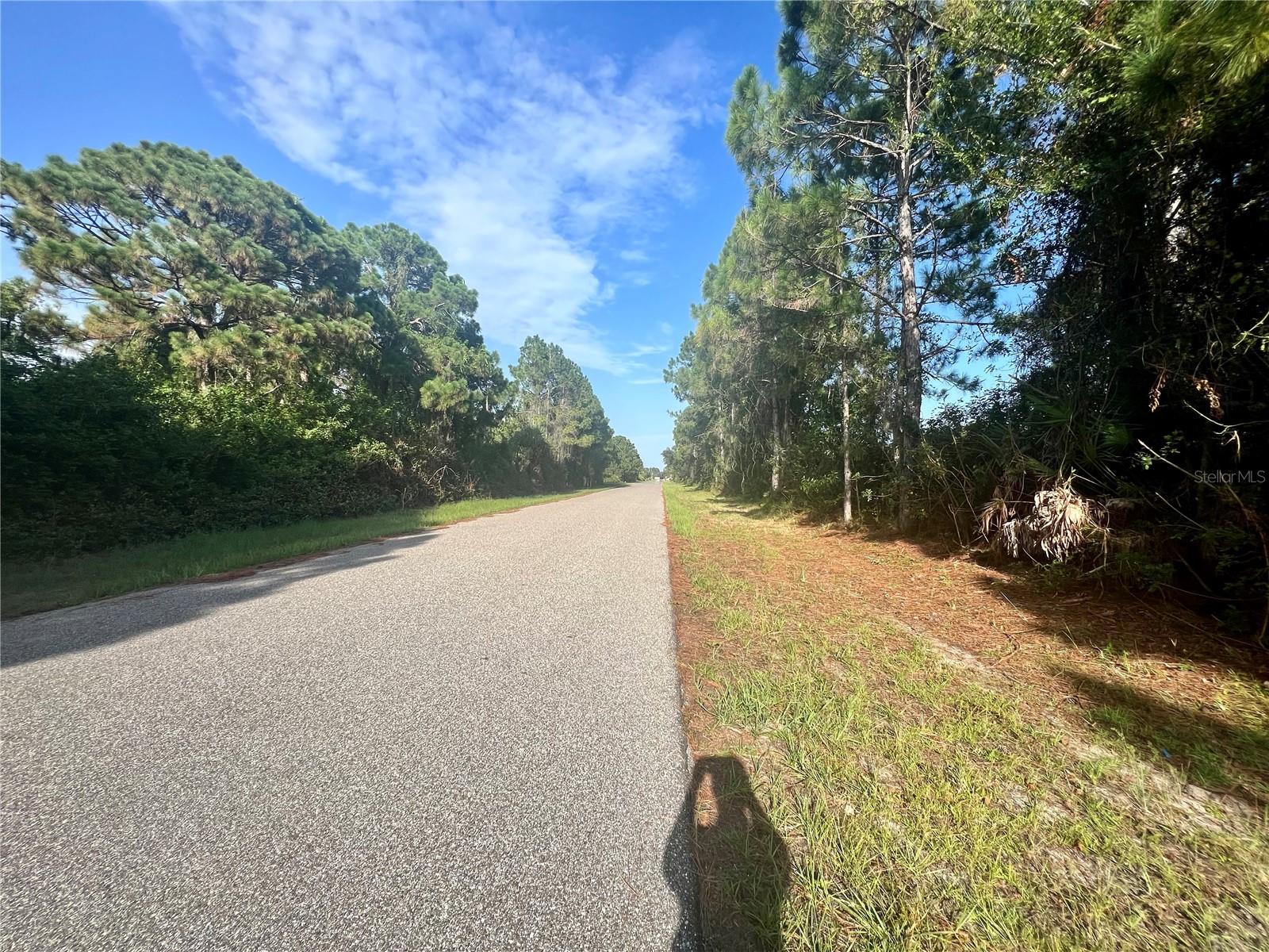 12415 DEEPWOODS AVE, PORT CHARLOTTE, FL — photo 2