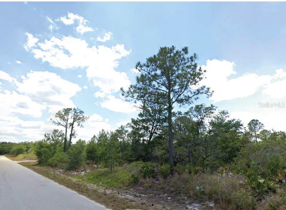 908 IMPERIAL OAK ST, LAKE PLACID, FL