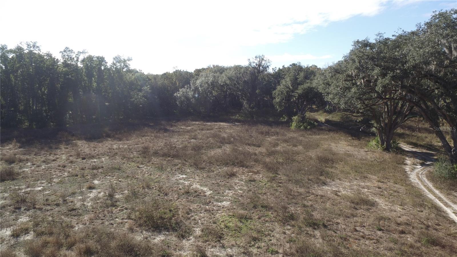 US HWY 301 TBD, CITRA, FL — photo 4