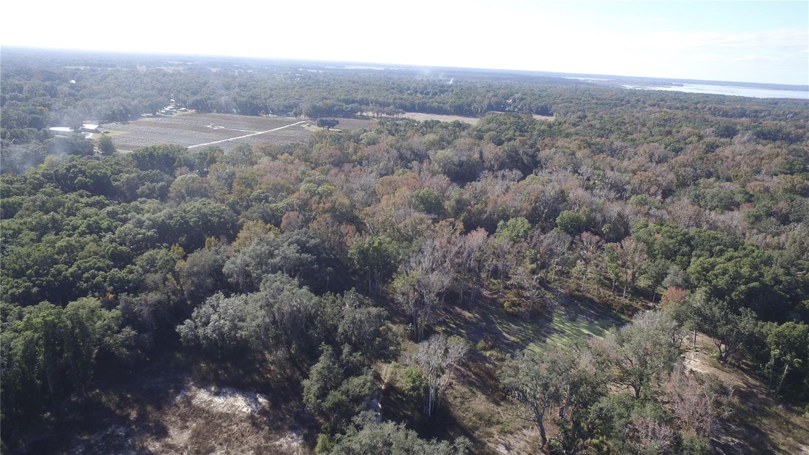 US HWY 301 TBD, CITRA, FL — photo 10