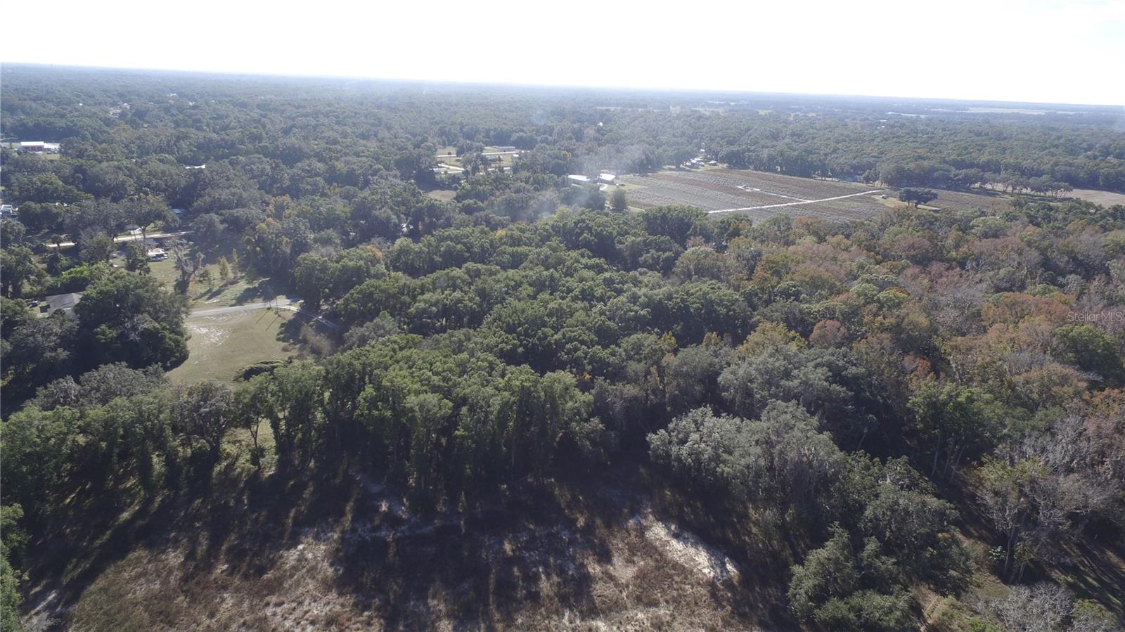 US HWY 301 TBD, CITRA, FL — photo 11