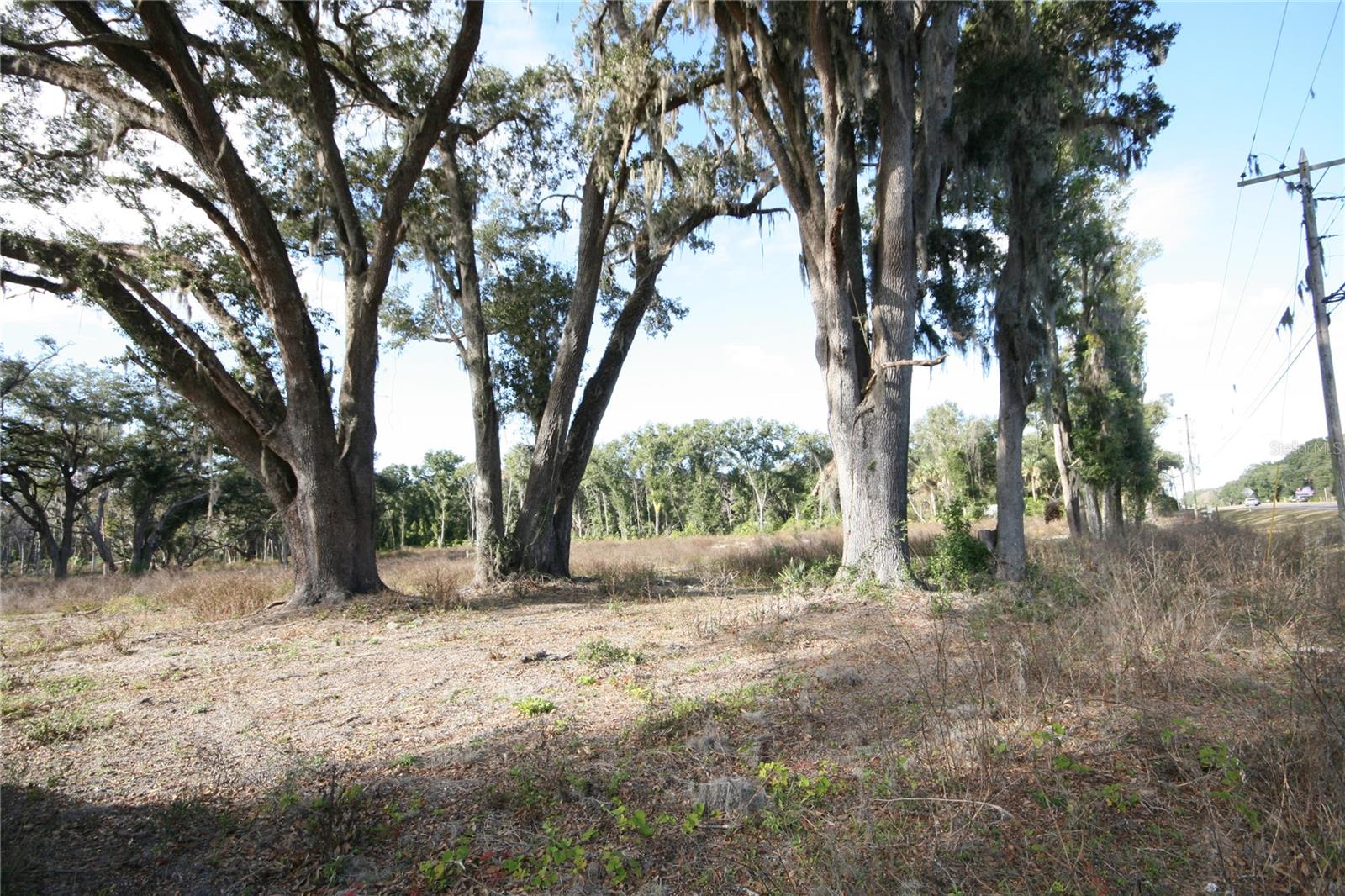 US HWY 301 TBD, CITRA, FL — photo 26