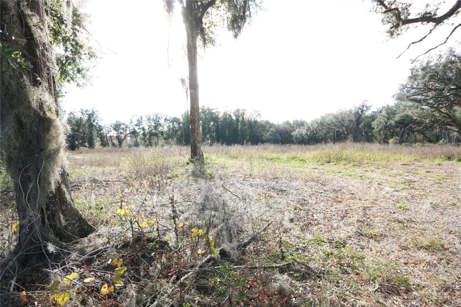 US HWY 301 TBD, CITRA, FL — photo 27