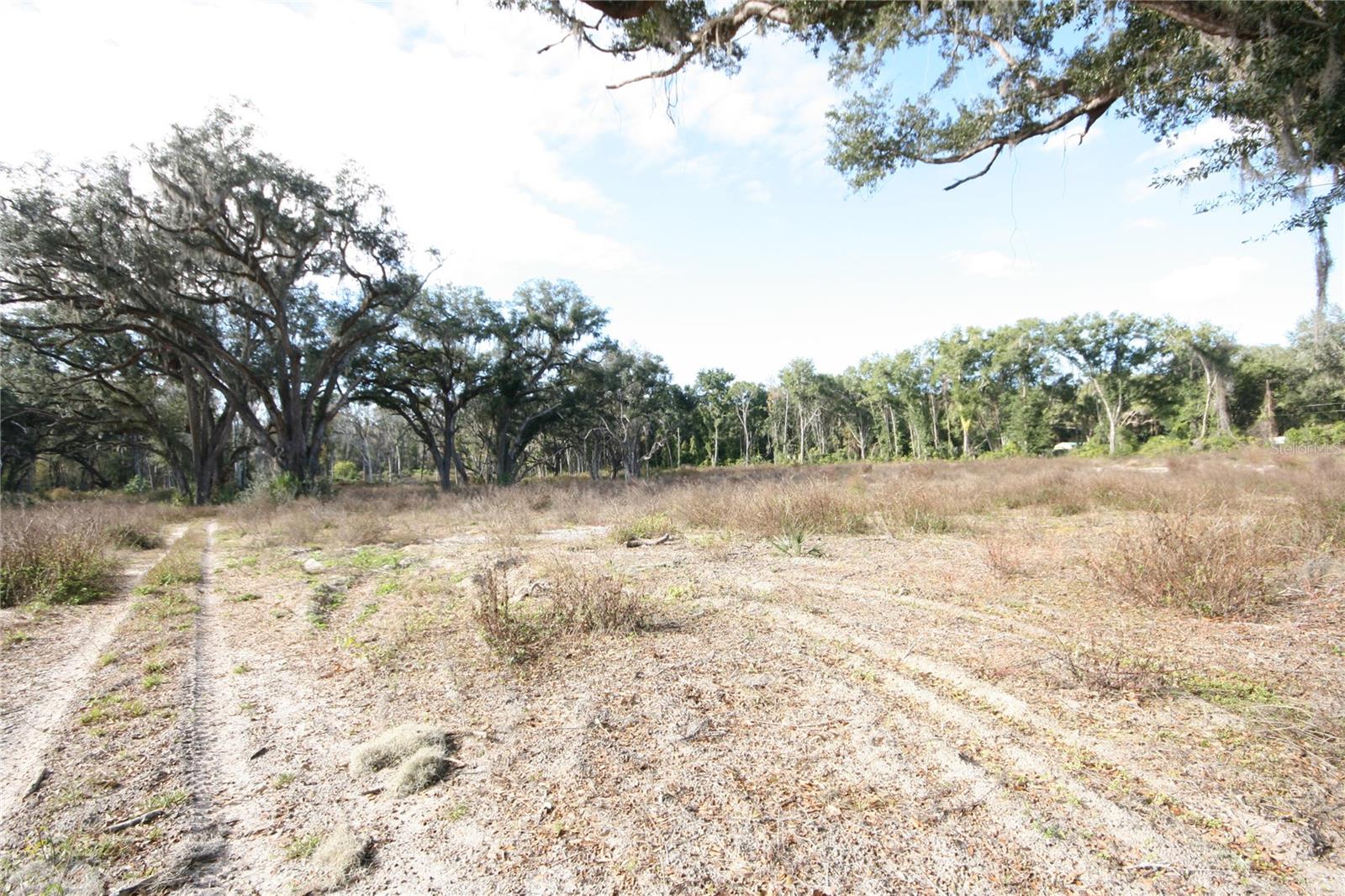 US HWY 301 TBD, CITRA, FL — photo 31