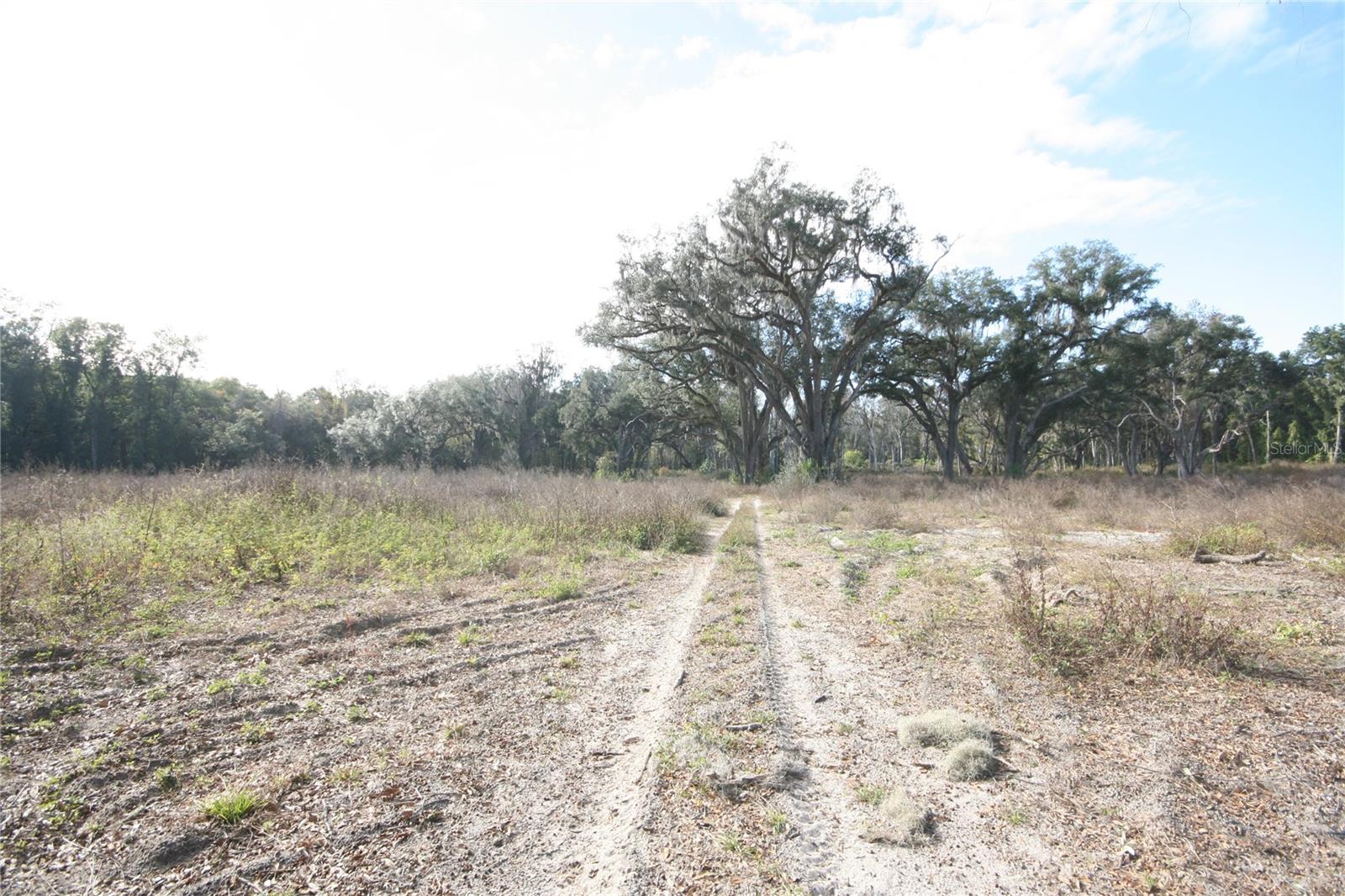 US HWY 301 TBD, CITRA, FL — photo 32