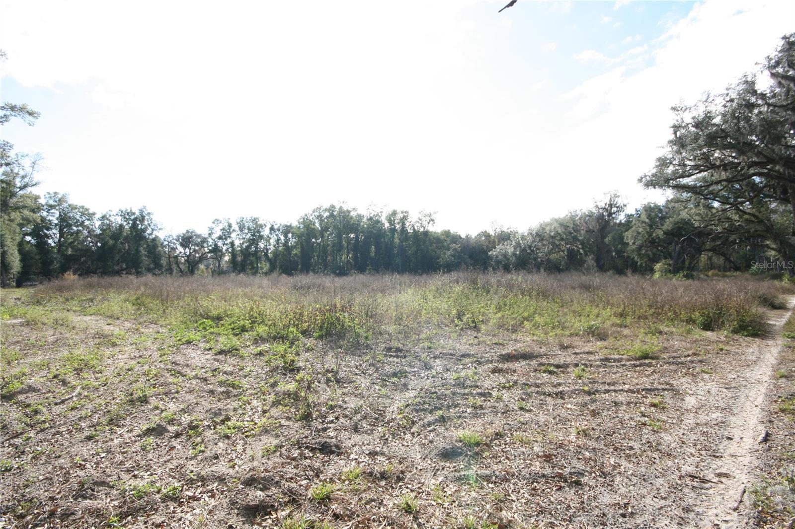 US HWY 301 TBD, CITRA, FL — photo 33