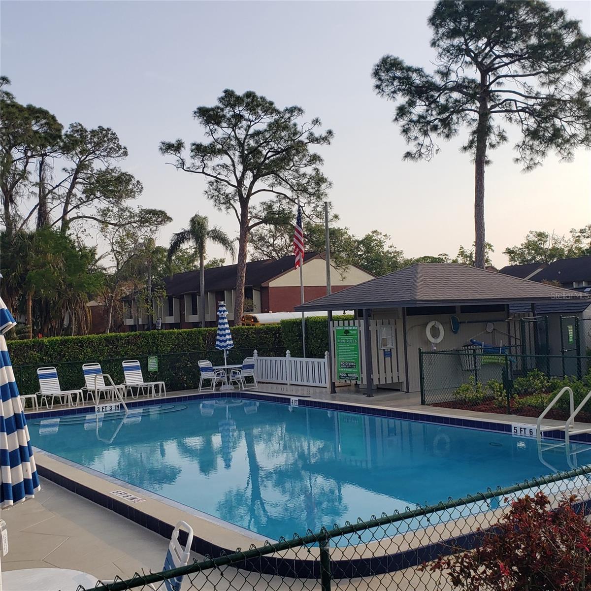 113 NINA WAY #113, OLDSMAR, FL — photo 5