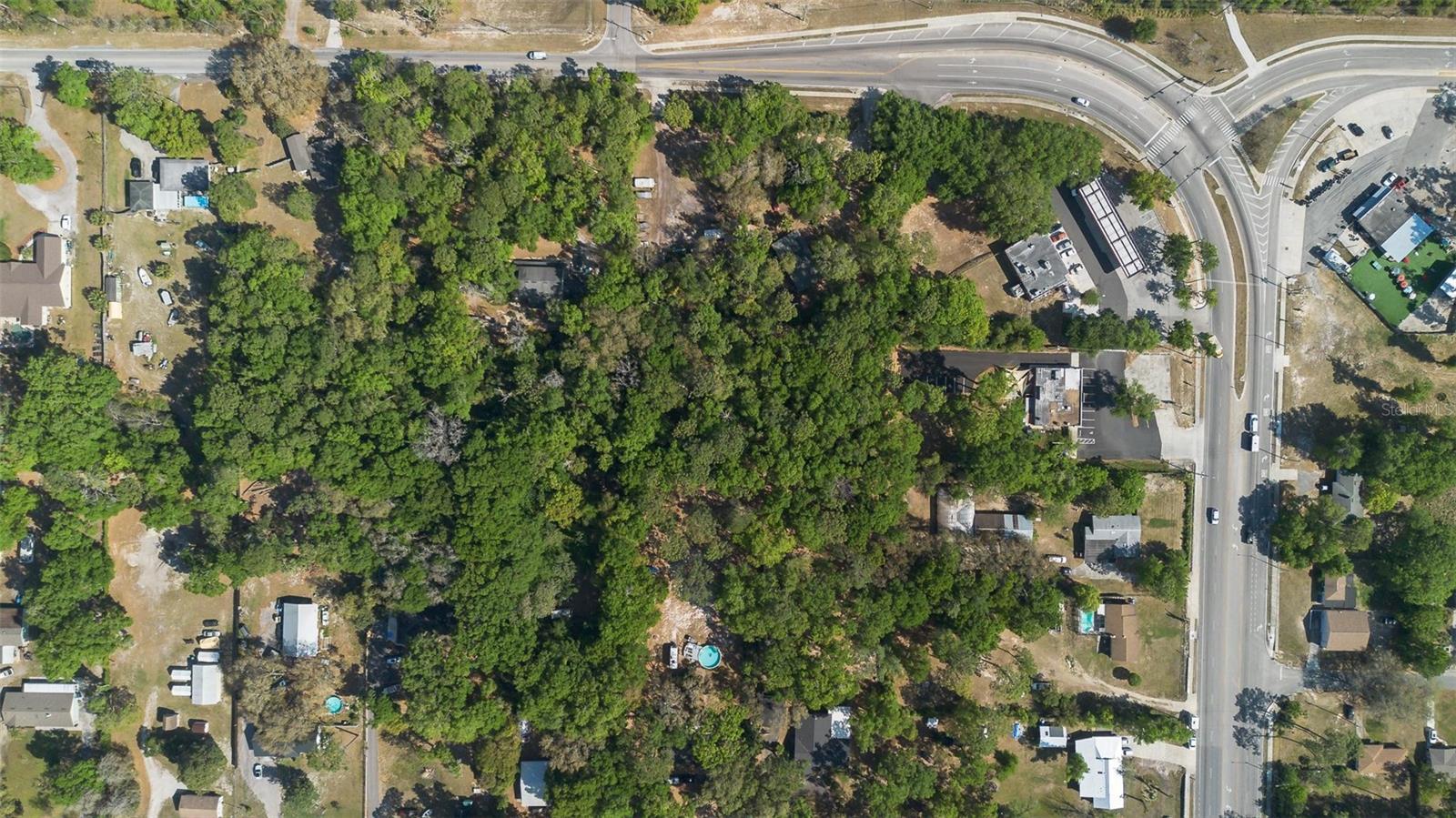 KELLY PARK RD E, APOPKA, FL — photo 16