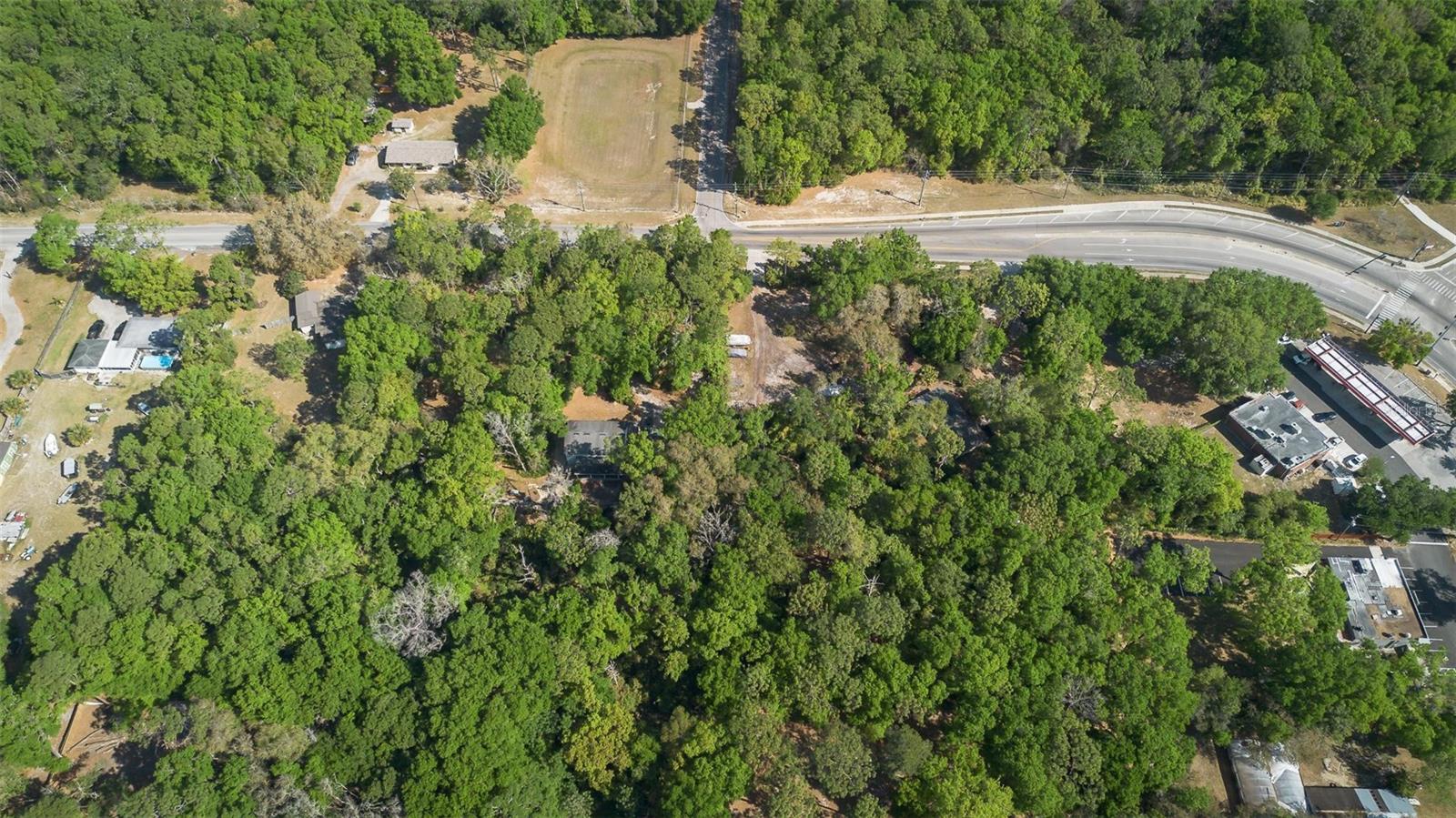 KELLY PARK RD E, APOPKA, FL — photo 19