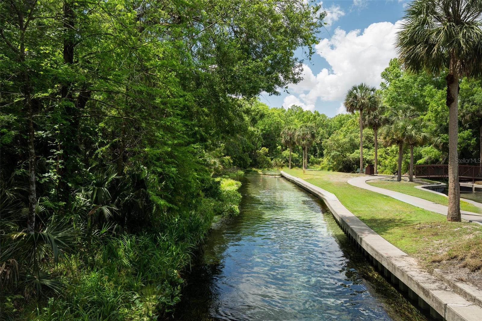 KELLY PARK RD E, APOPKA, FL — photo 22