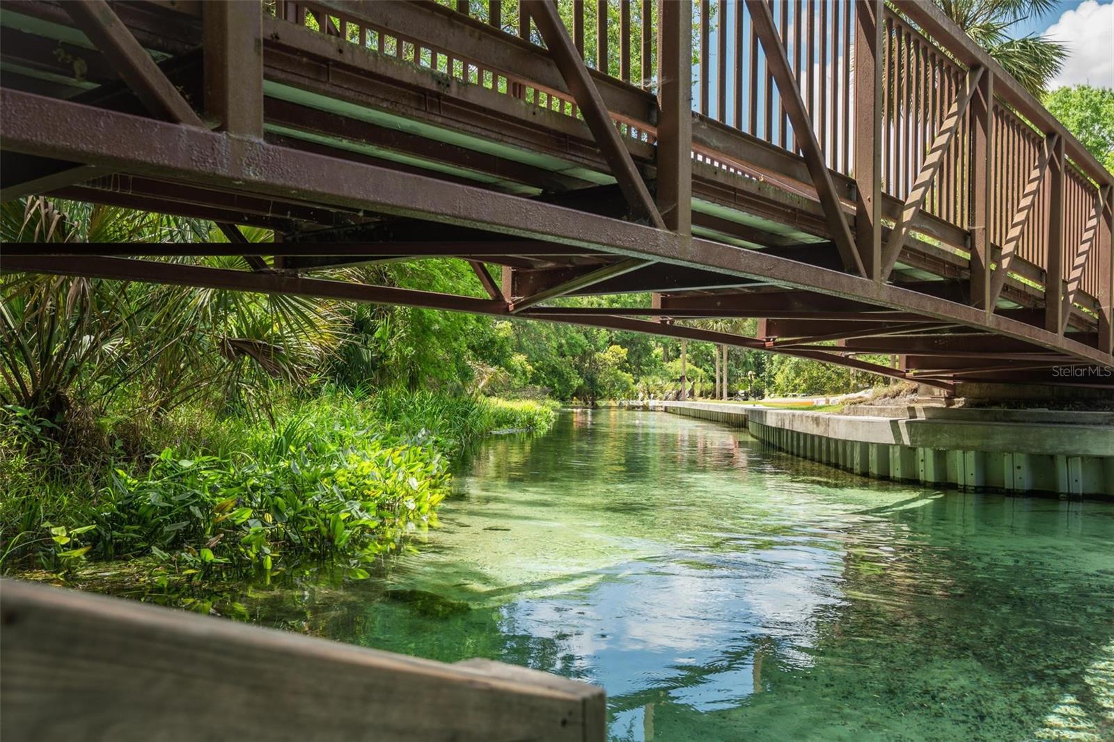 KELLY PARK RD E, APOPKA, FL — photo 4