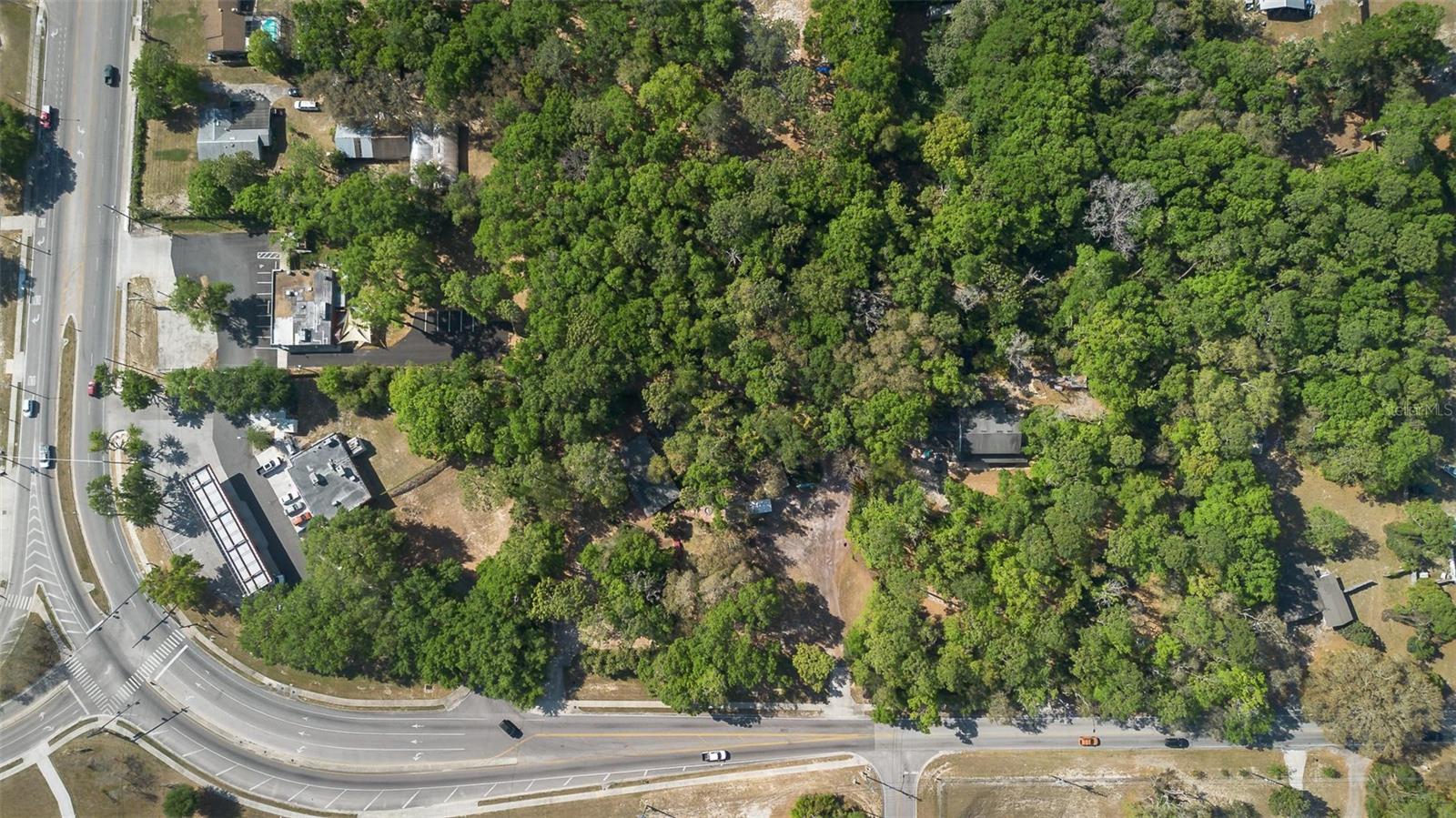 KELLY PARK RD E, APOPKA, FL — photo 14