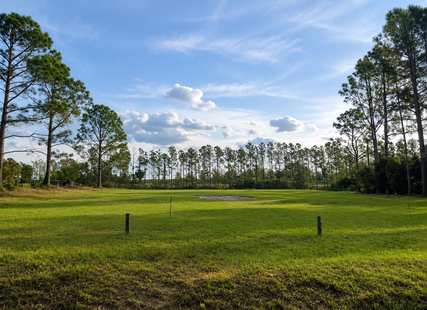 LAKE DENISE BLVD, CLERMONT, FL — photo 3