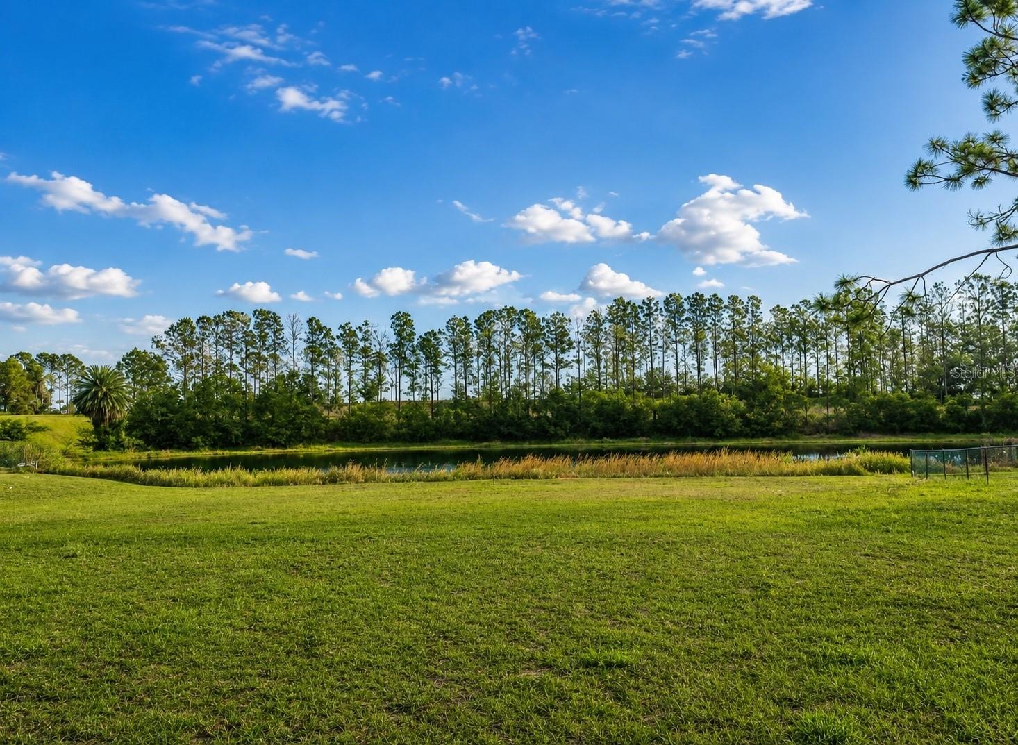 LAKE DENISE BLVD, CLERMONT, FL — photo 5