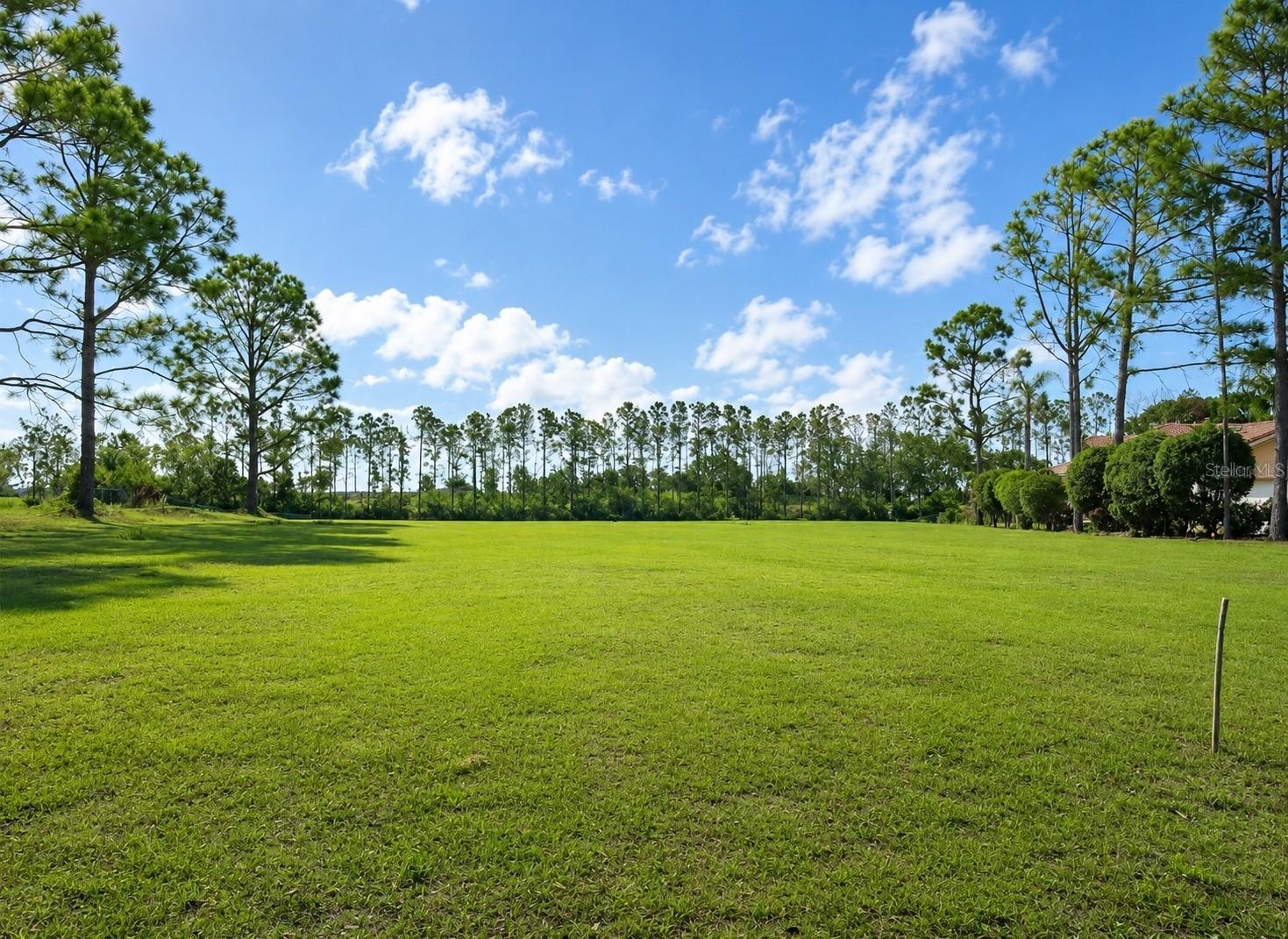 LAKE DENISE BLVD, CLERMONT, FL — photo 7