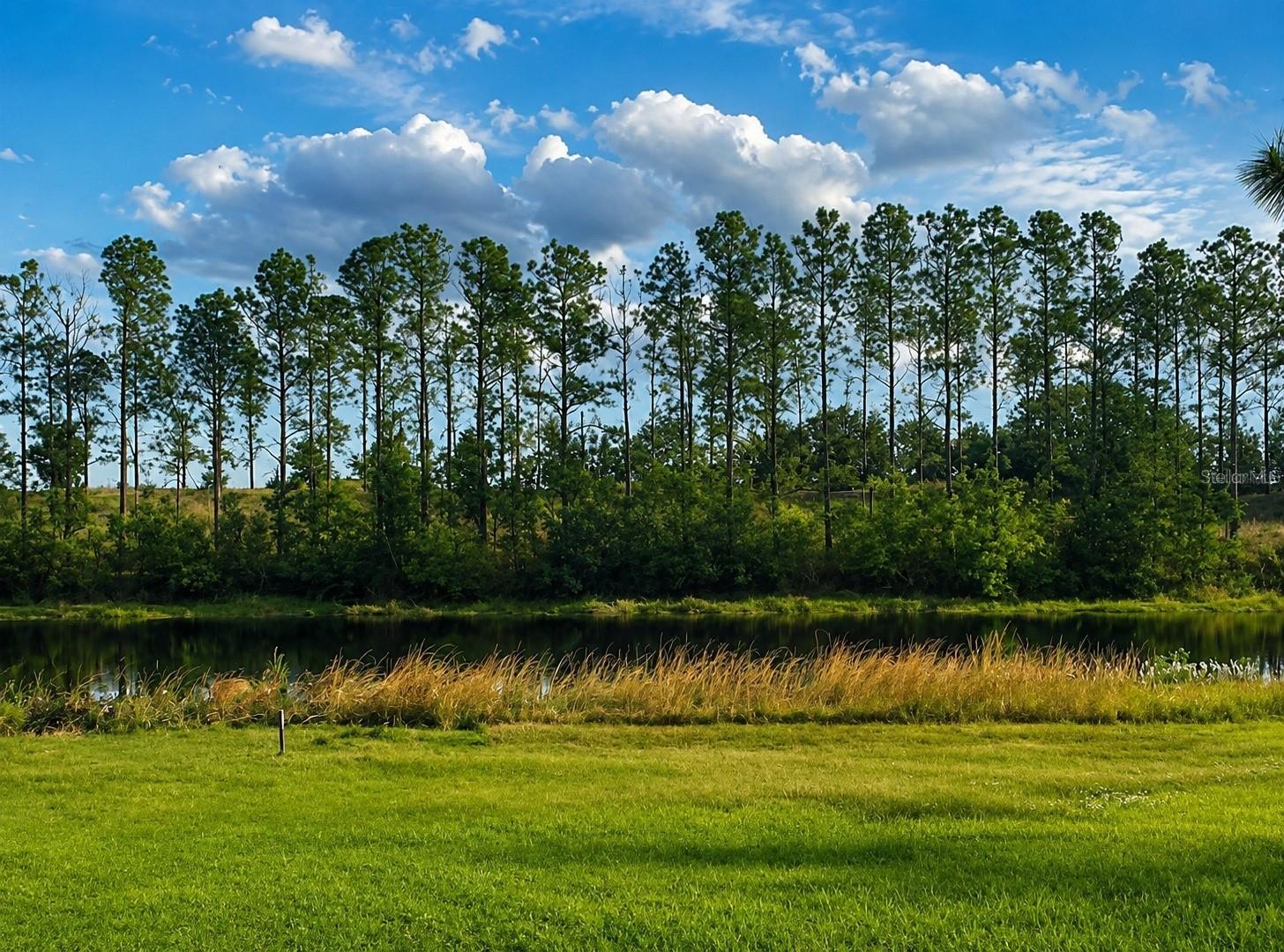 LAKE DENISE BLVD, CLERMONT, FL — photo 9
