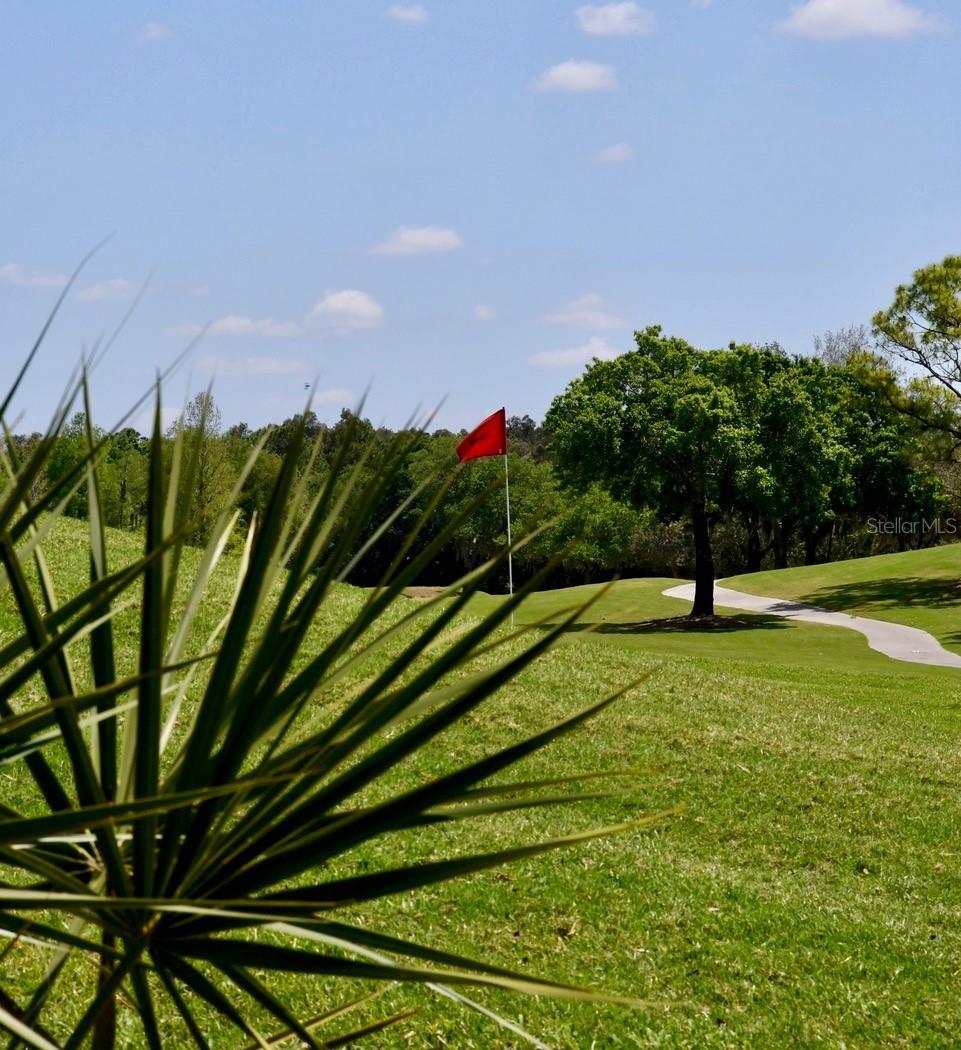 6501 STONE RIVER RD #209, BRADENTON, FL — photo 44