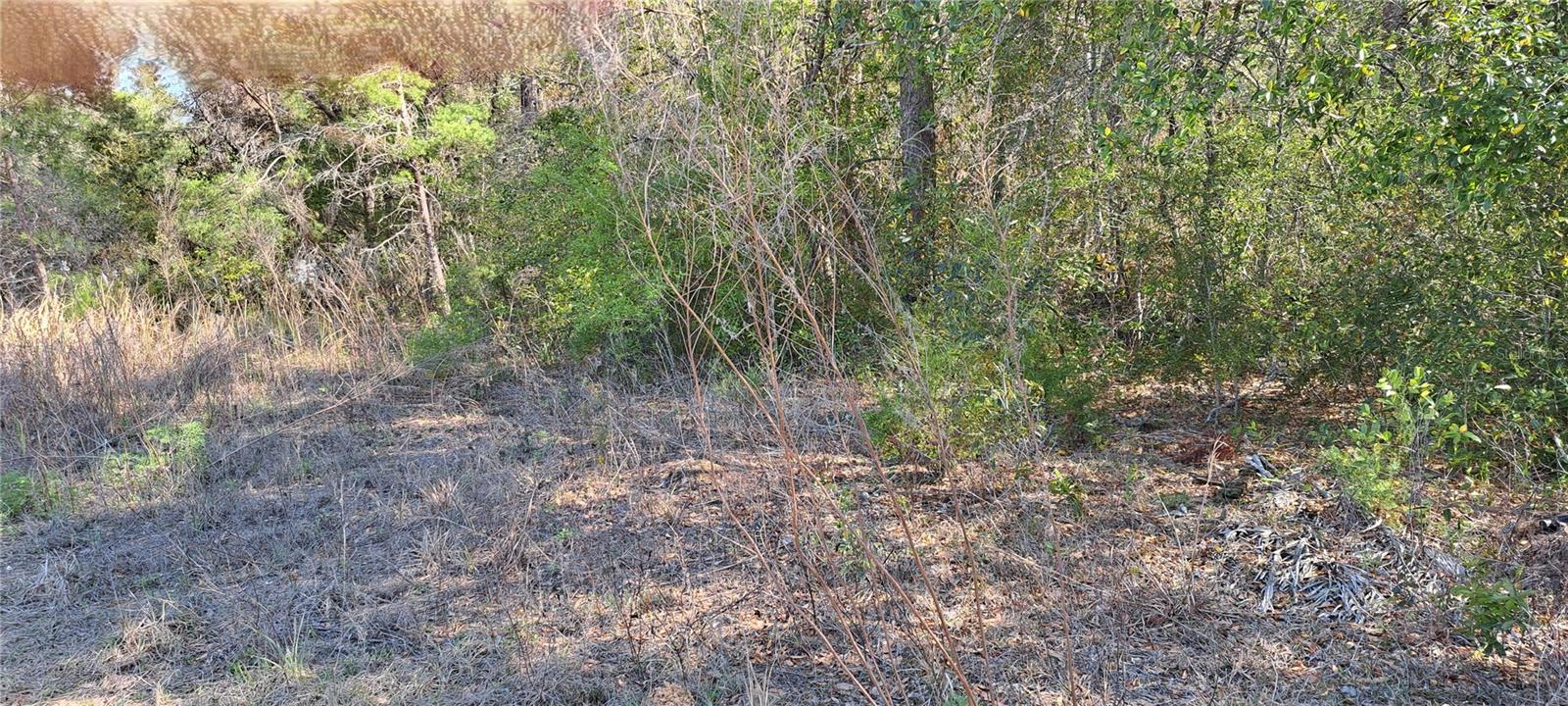 3844 E CRYSTAL LN, INVERNESS, FL