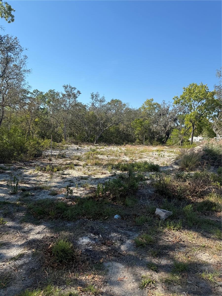 449 NAPLES CT, KISSIMMEE, FL — photo 4