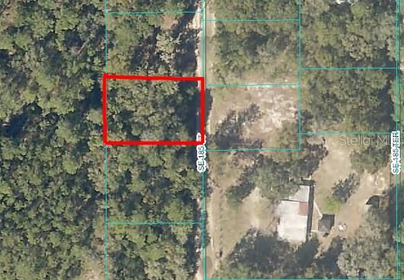 185TH CT, OCKLAWAHA, FL — photo 2