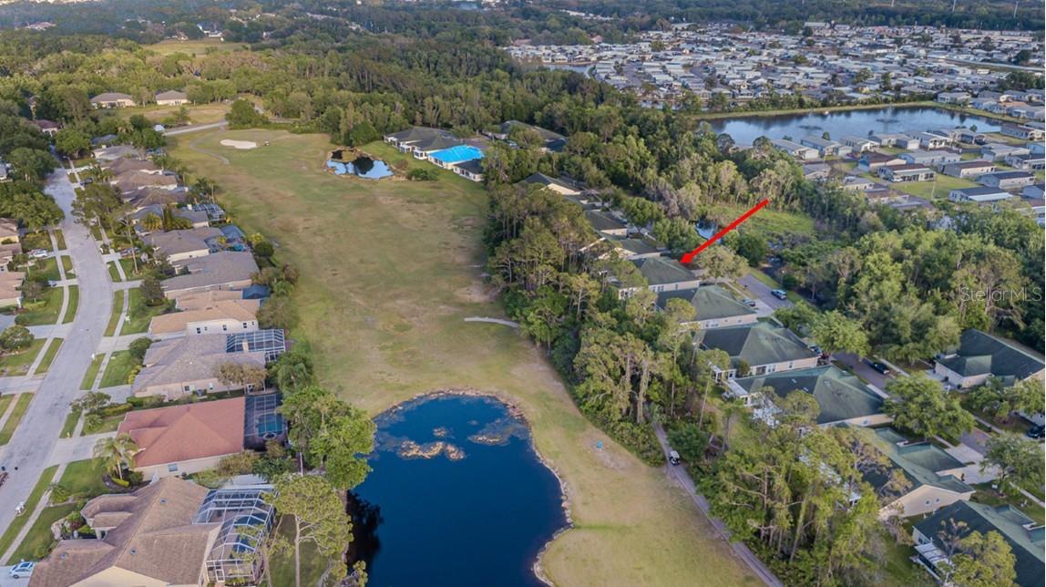 34833 DOUBLE EAGLE CT, ZEPHYRHILLS, FL — photo 28