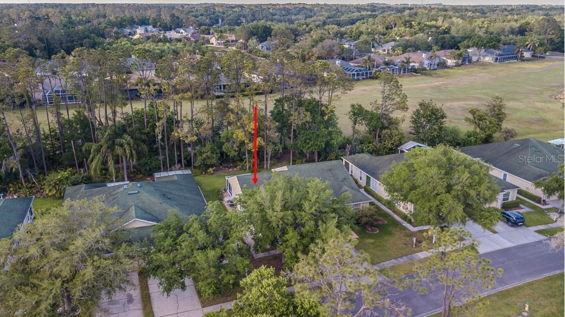 34833 DOUBLE EAGLE CT, ZEPHYRHILLS, FL — photo 25