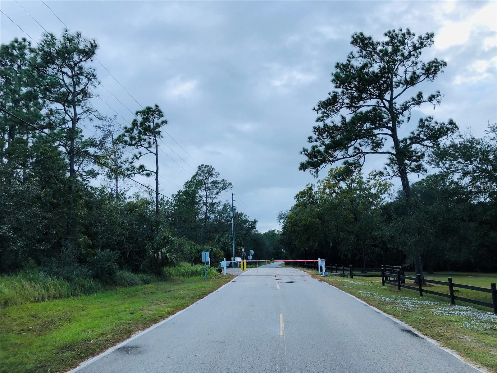 KEEFER TRL, KISSIMMEE, FL — photo 14