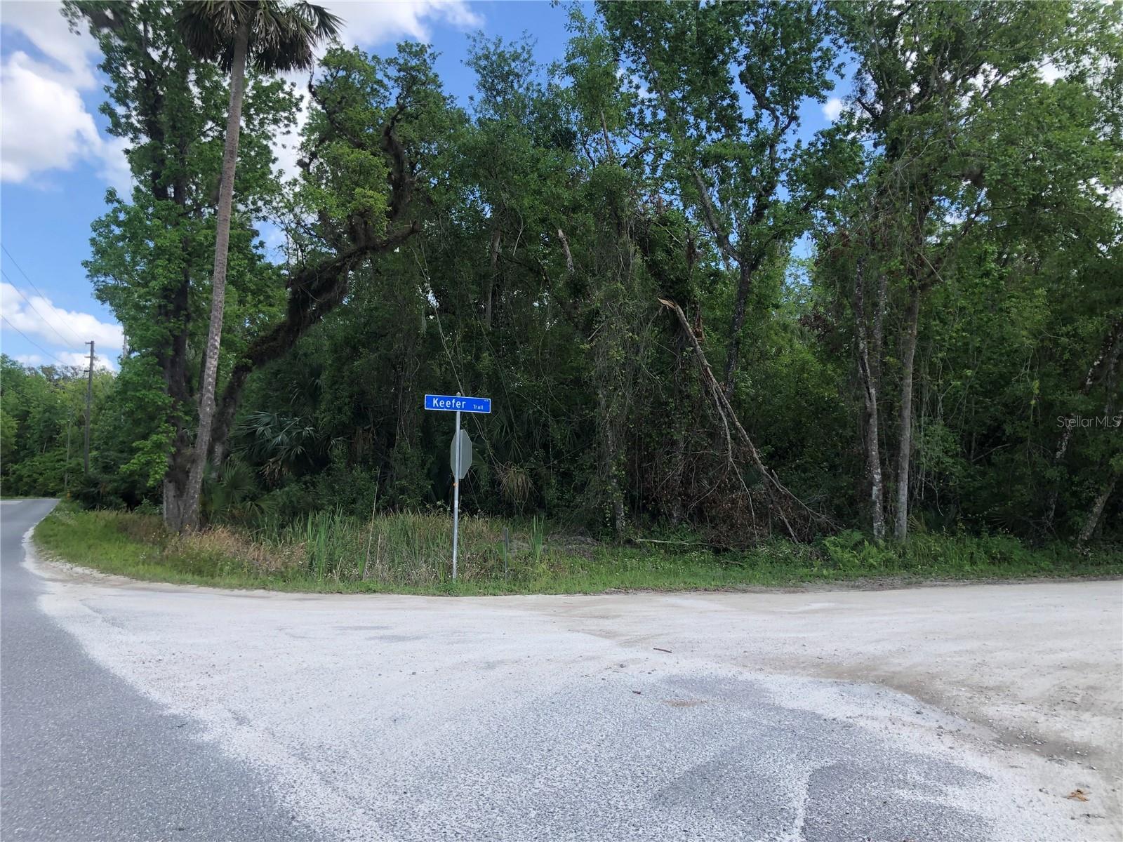 KEEFER TRL, KISSIMMEE, FL — photo 13