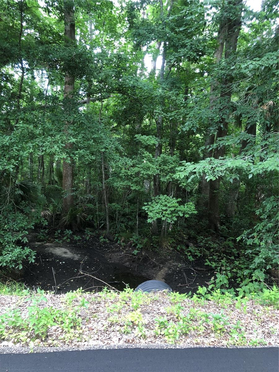 KEEFER TRL, KISSIMMEE, FL — photo 4