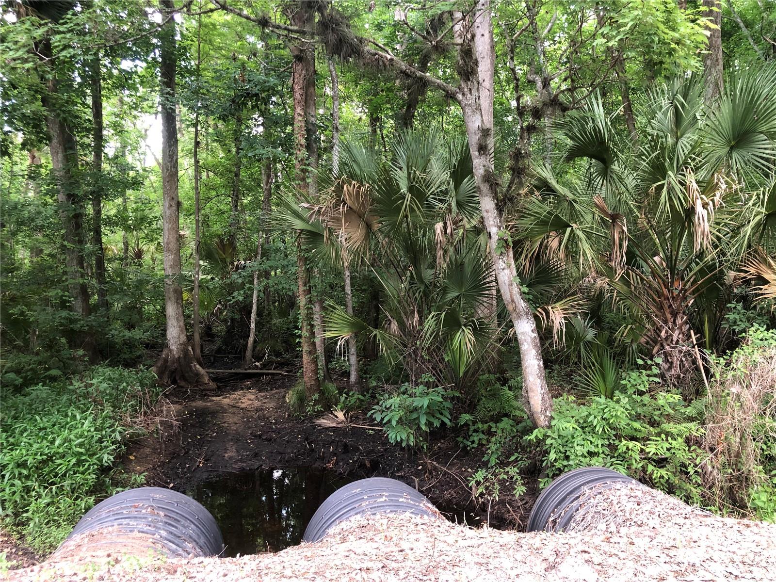 KEEFER TRL, KISSIMMEE, FL — photo 5