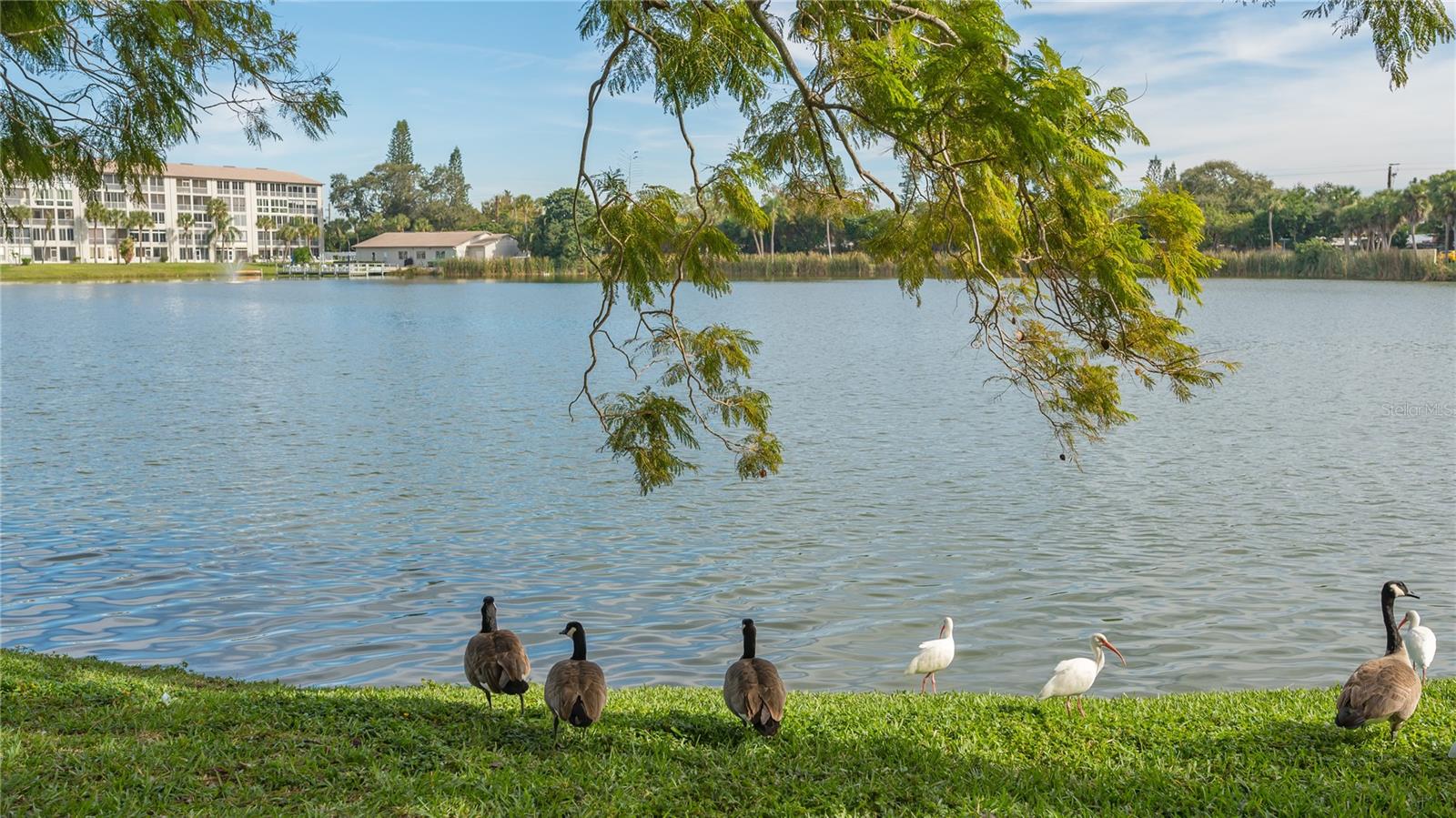 3845 LAKE BAYSHORE DR #F103, BRADENTON, FL — photo 36