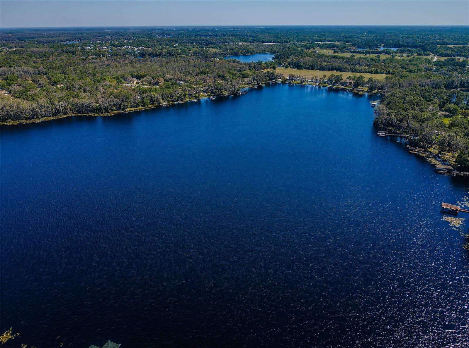 18725 JIRETZ RD, ODESSA, FL — photo 99