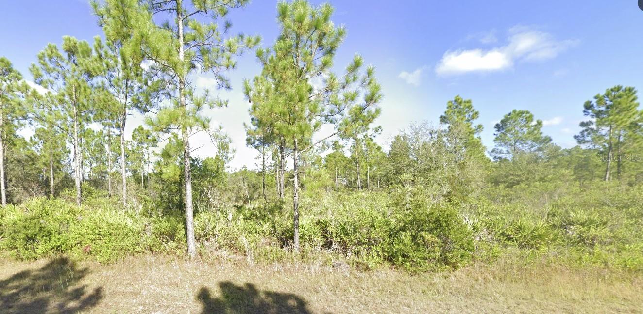 404 ALLAMANDA DR, INDIAN LAKE ESTATES, FL — photo 4