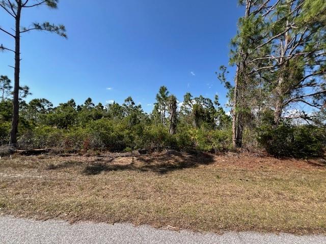 12108 BENHAM AVE, PORT CHARLOTTE, FL