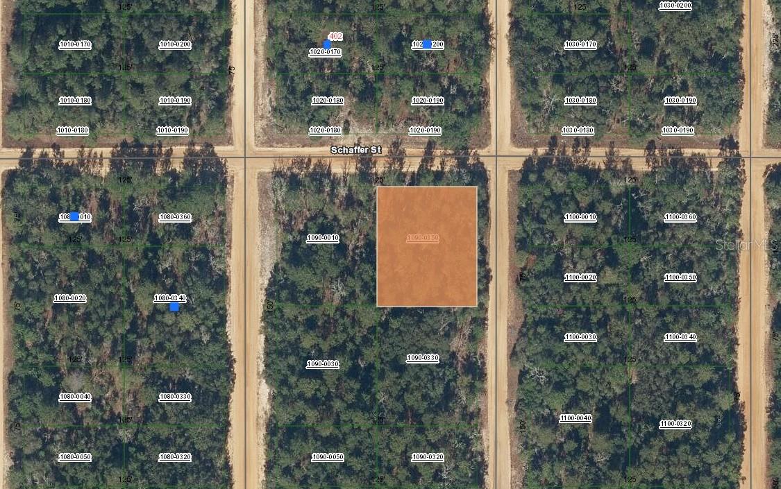 00 SHAPPELL AVE, INTERLACHEN, FL