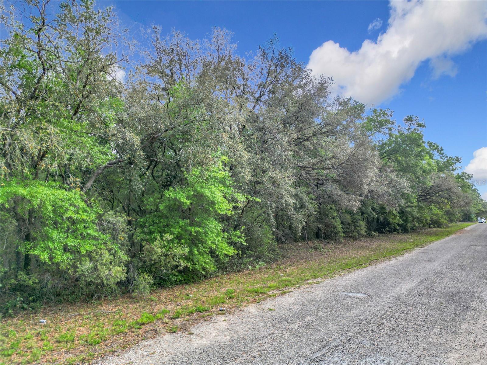 8808 N DELTONA BLVD, CITRUS SPRINGS, FL — photo 12