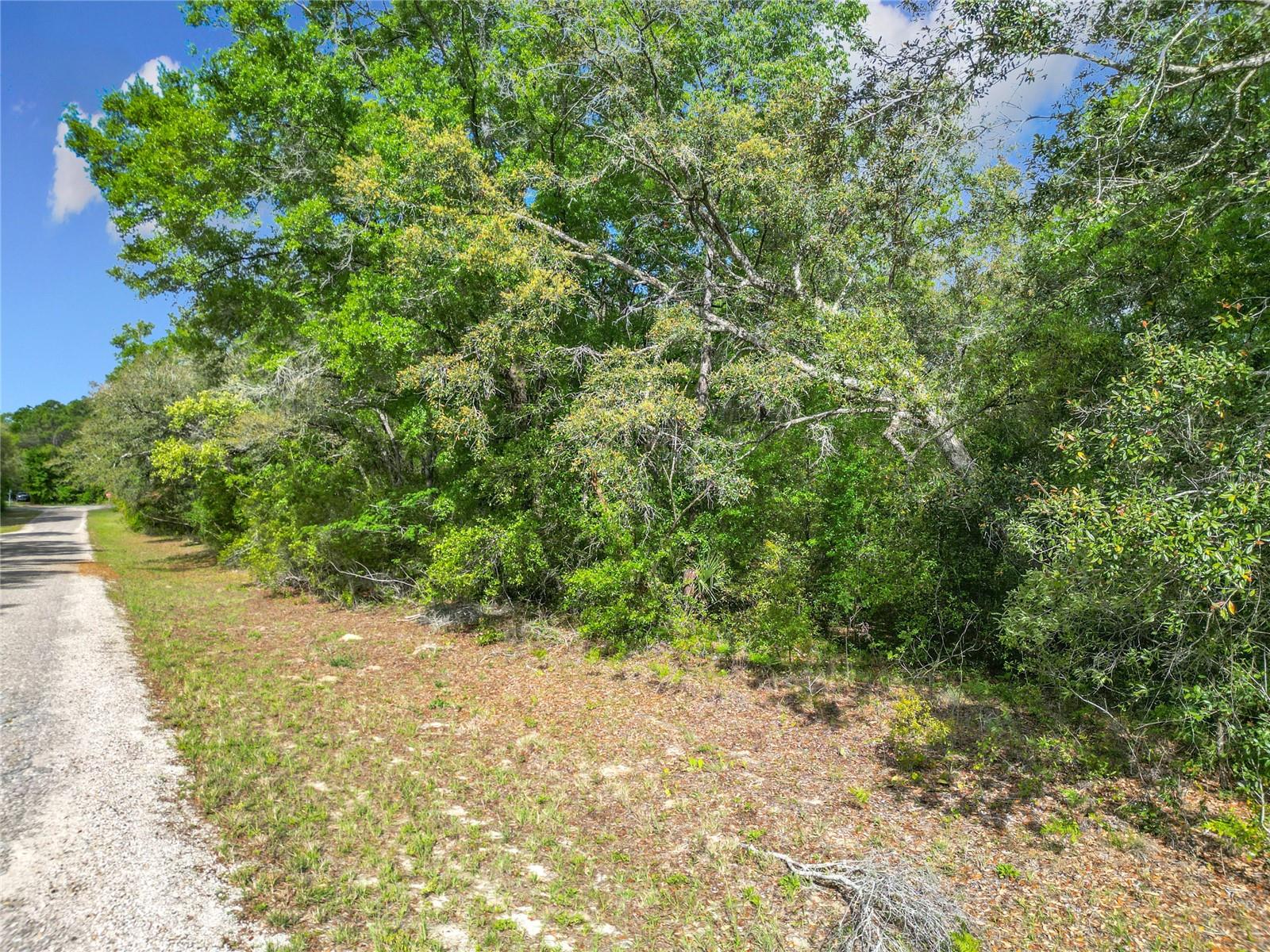8808 N DELTONA BLVD, CITRUS SPRINGS, FL — photo 13