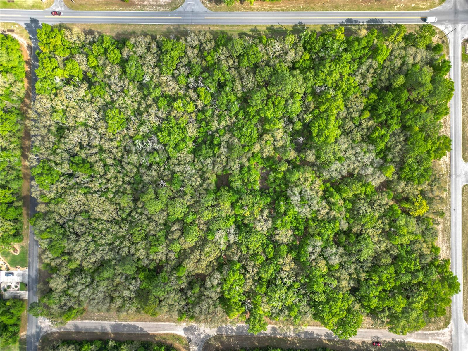 8808 N DELTONA BLVD, CITRUS SPRINGS, FL — photo 16
