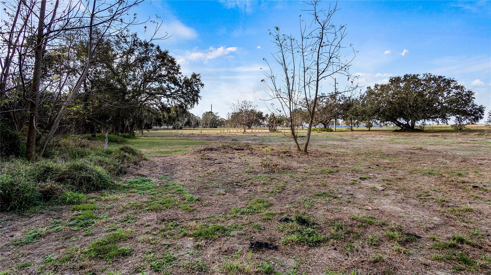 WOODLEA RD, TAVARES, FL — photo 87