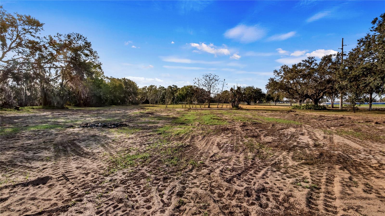 WOODLEA RD, TAVARES, FL — photo 91