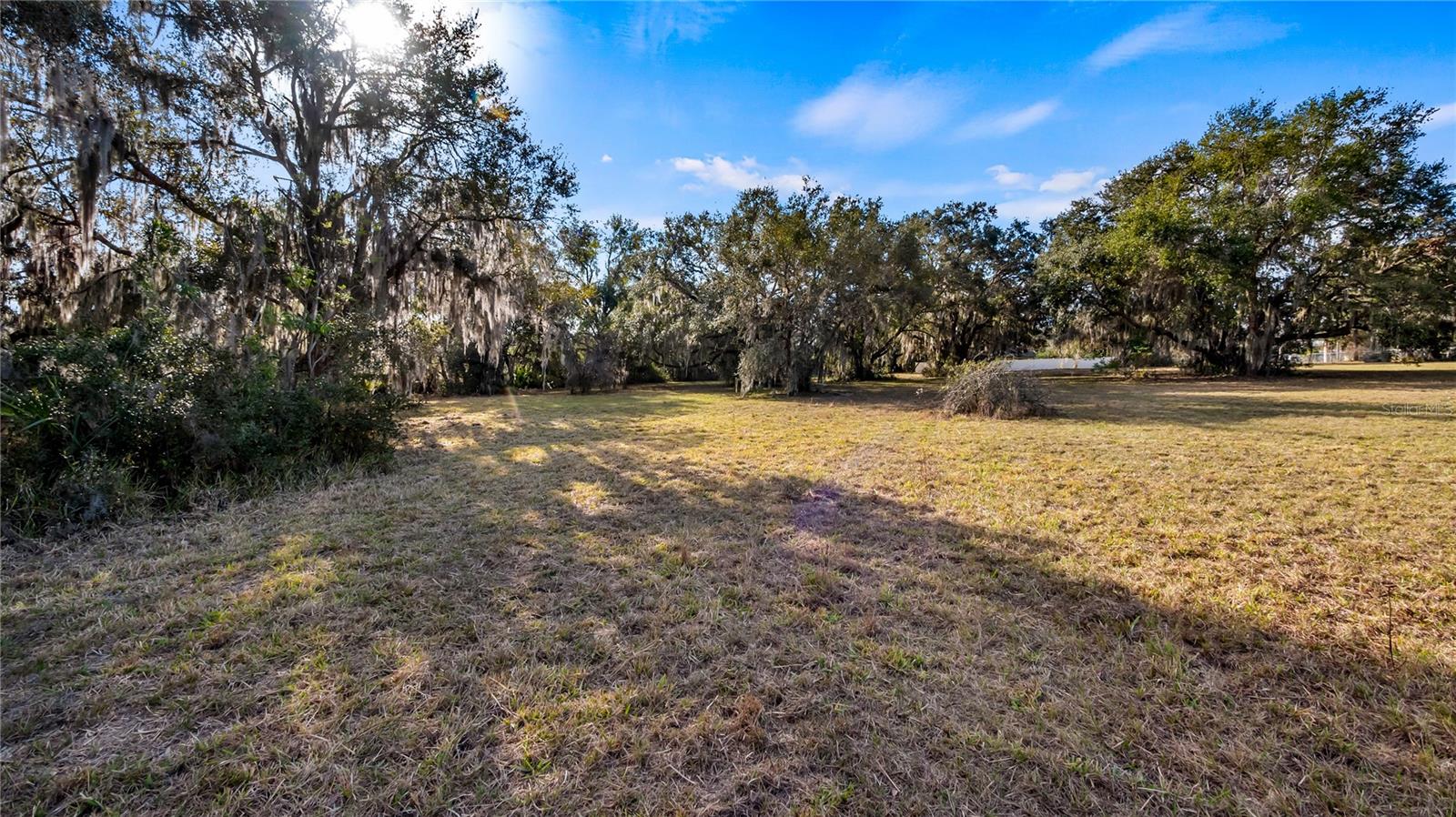 WOODLEA RD, TAVARES, FL — photo 99