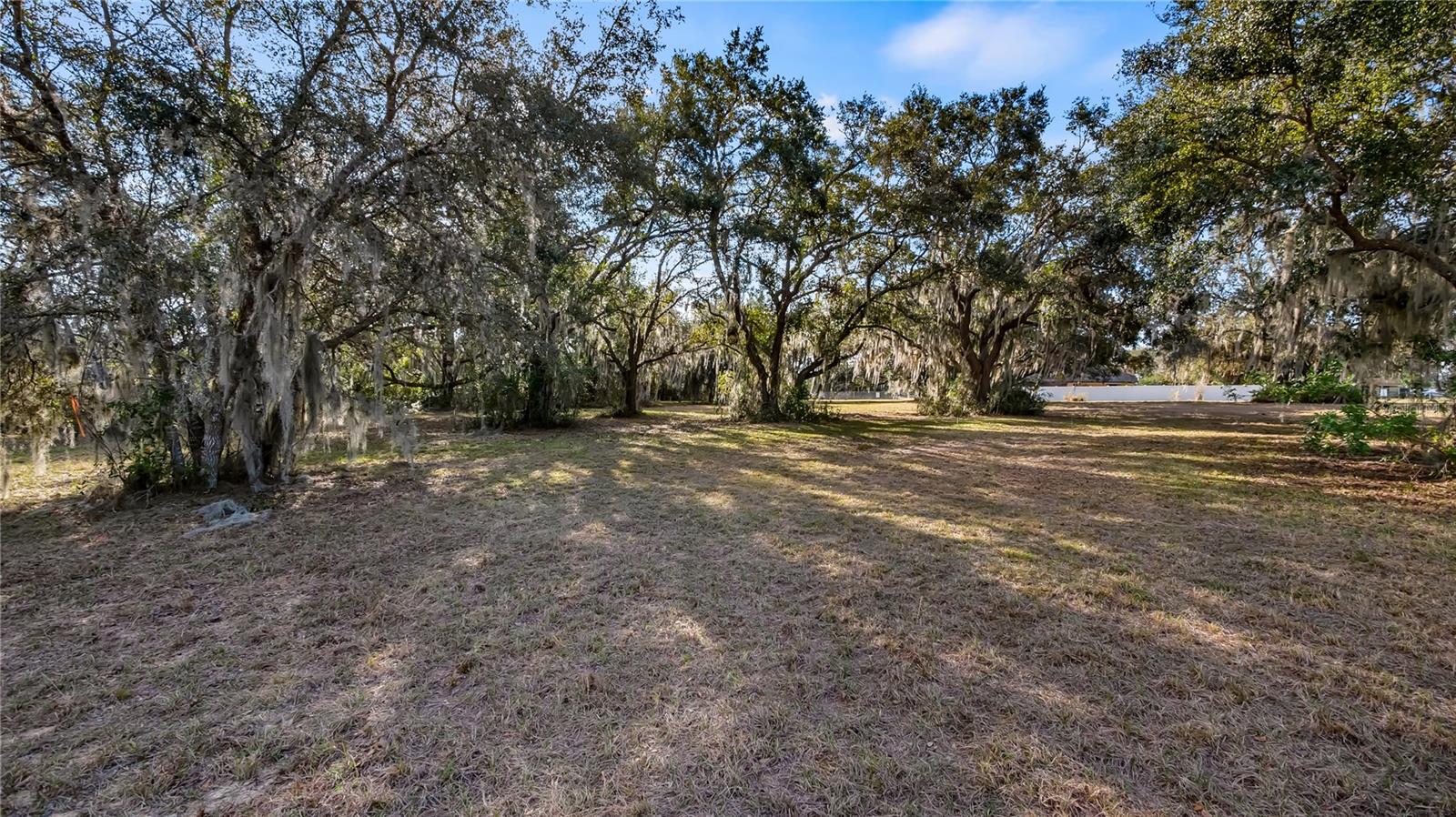 WOODLEA RD, TAVARES, FL — photo 102