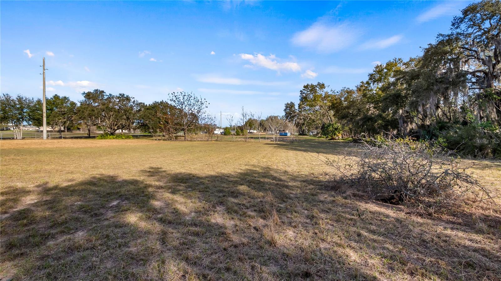 WOODLEA RD, TAVARES, FL — photo 103
