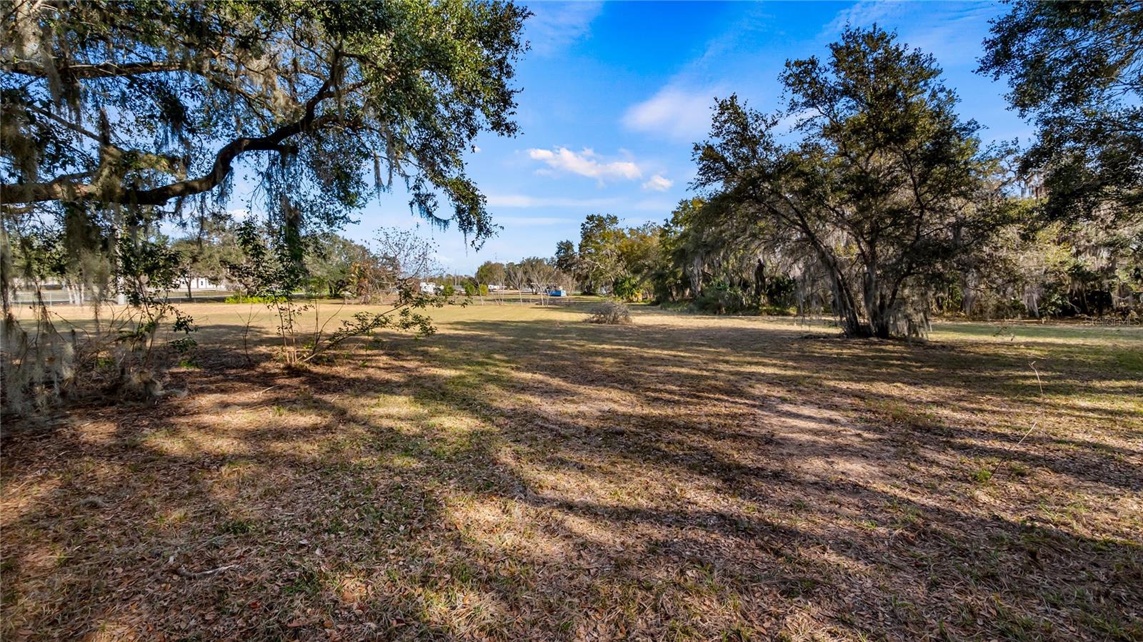 WOODLEA RD, TAVARES, FL — photo 11