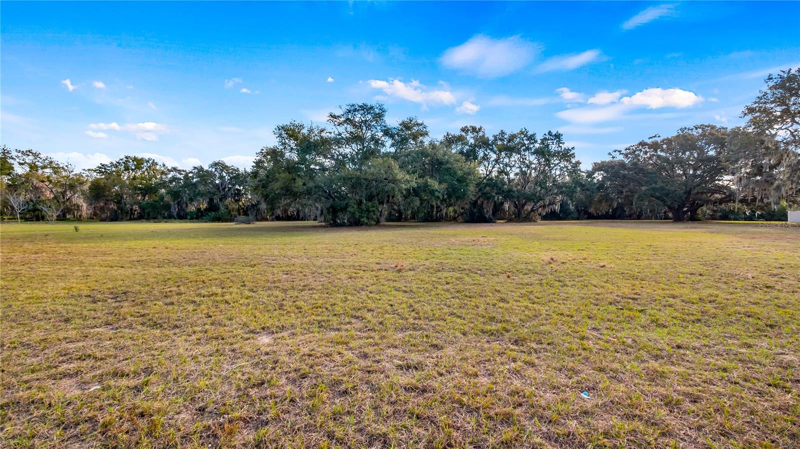 WOODLEA RD, TAVARES, FL — photo 4