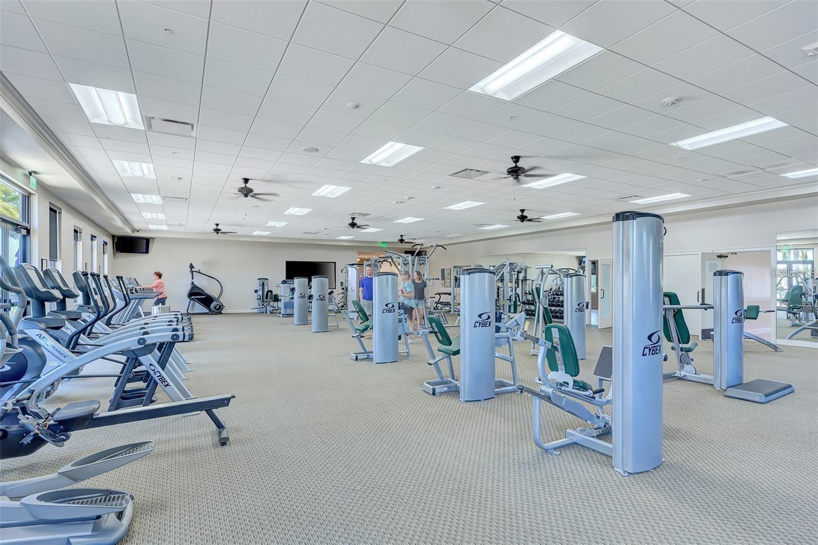 25025 SPARTINA DR, VENICE, FL — photo 53
