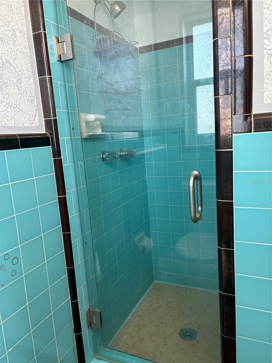 6221 13TH AVE N, ST PETERSBURG, FL — photo 15
