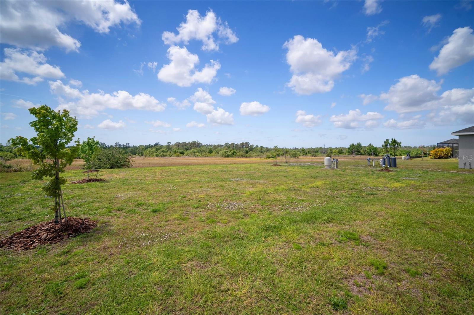 5214 LAKE VENICE DR, WIMAUMA, FL — photo 49